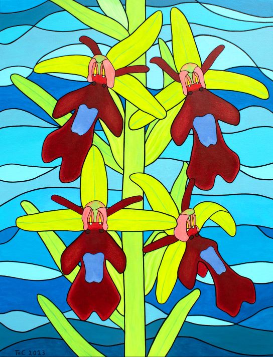 Ophrys insectifera - Fliegen-Ragwurz (85 x 65 cm) - Christina Felicitas Teibert - 2023 (all rights reserved)